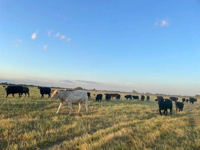 TBD CR 358, Gause, TX 77857