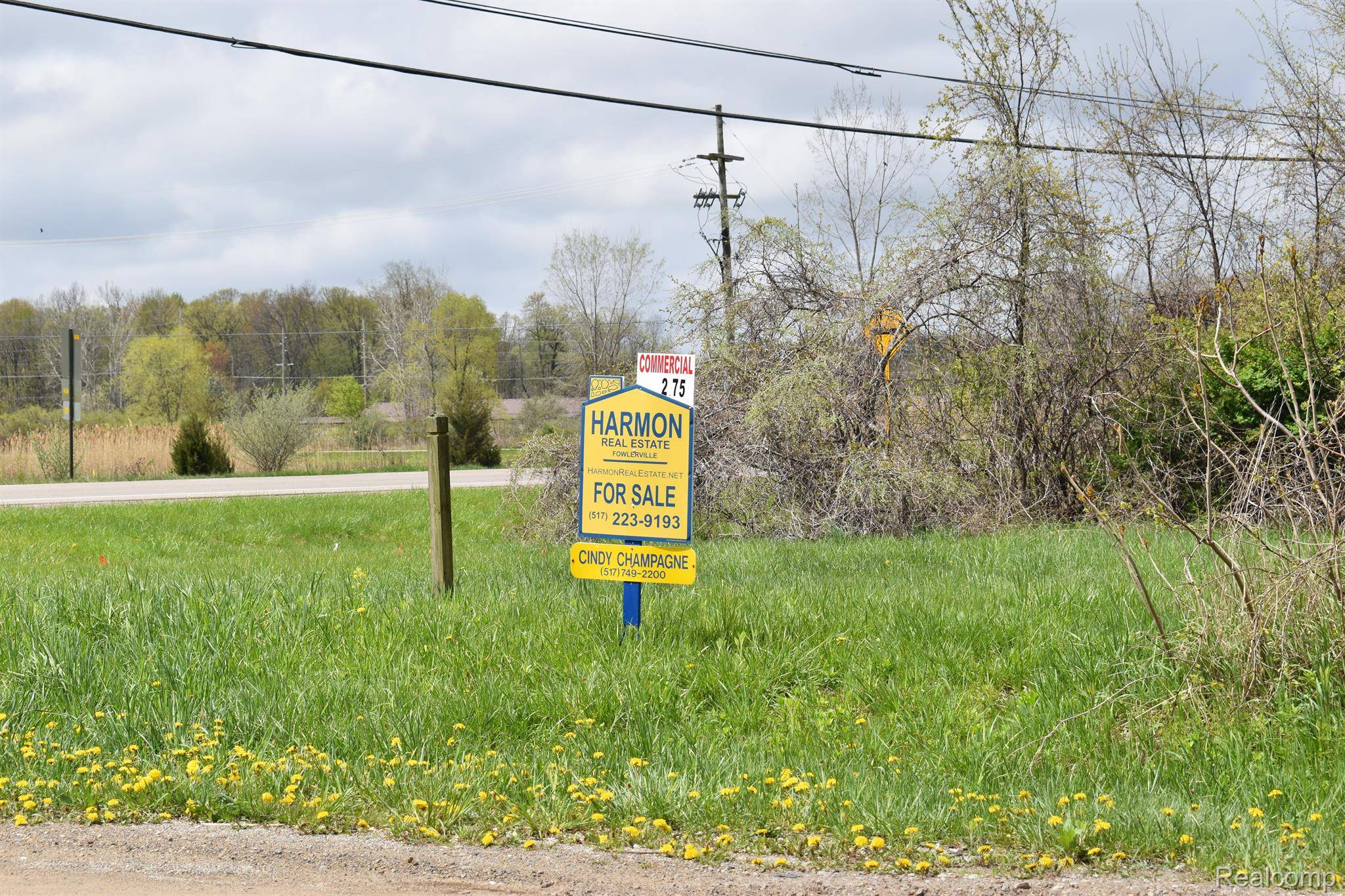 VL Grand River AVE, Handy Twp, MI 48836