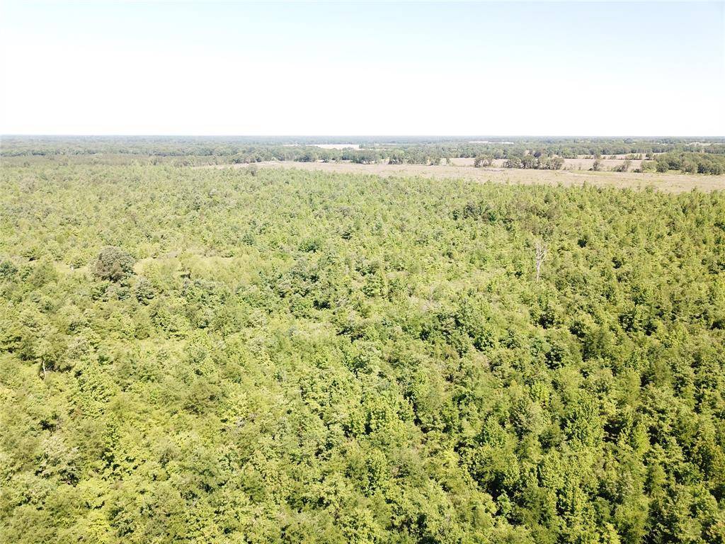 00 County Road 4308, Simms, TX 75574