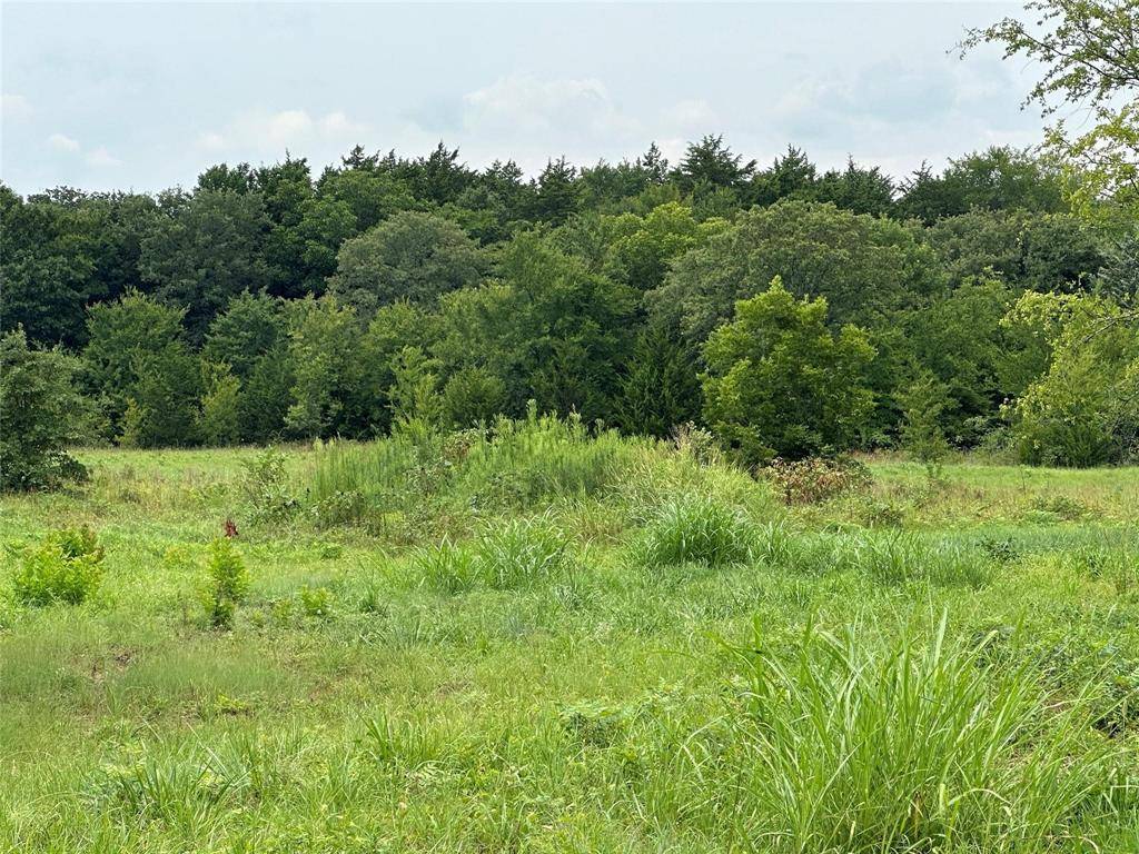 Tract 2 Fm 678, Whitesboro, TX 76273