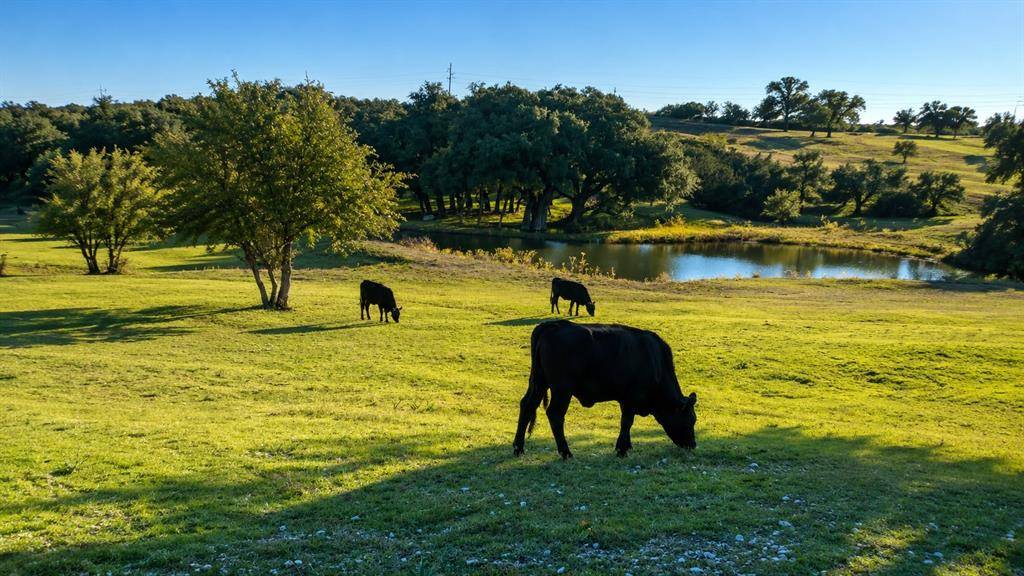 1973 County Road 513, Stephenville, TX 76401