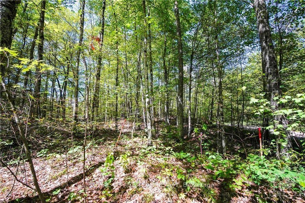 Lot #20 CRESTVIEW DR, Greater Madawaska, ON K0J 1H0