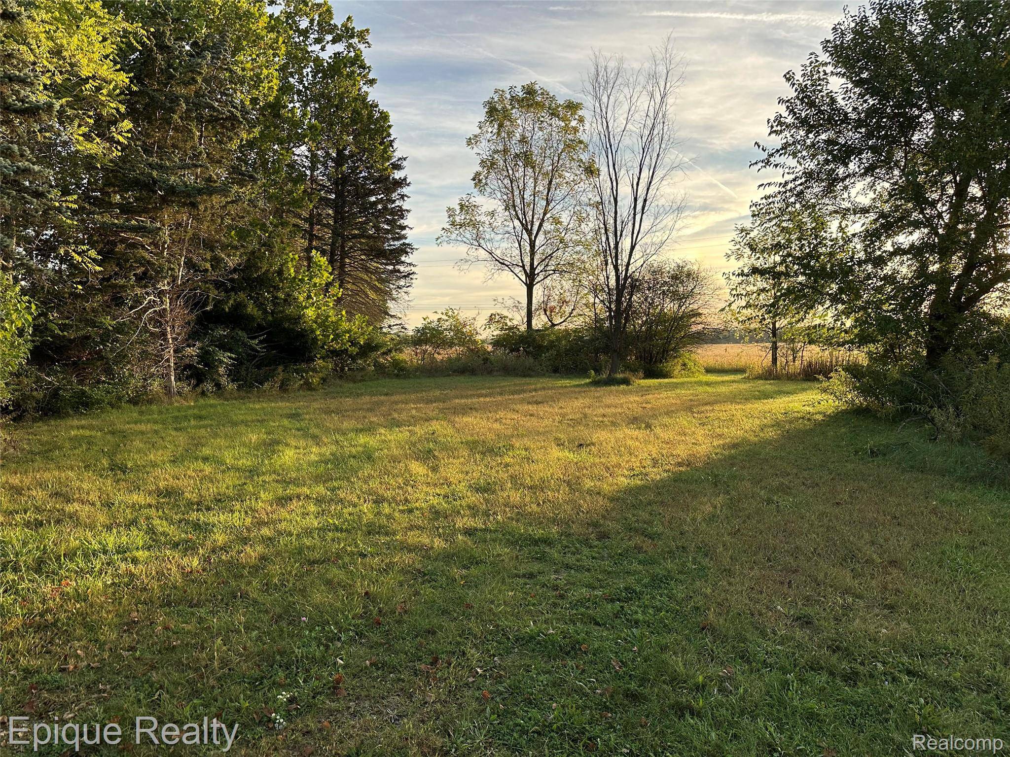 1353 E Lloyd RD, Dundee Township, MI 48131