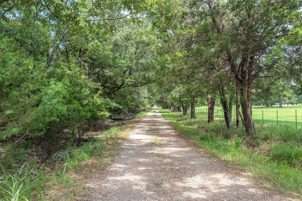 TBD FM 1197, Yantis, TX 75497