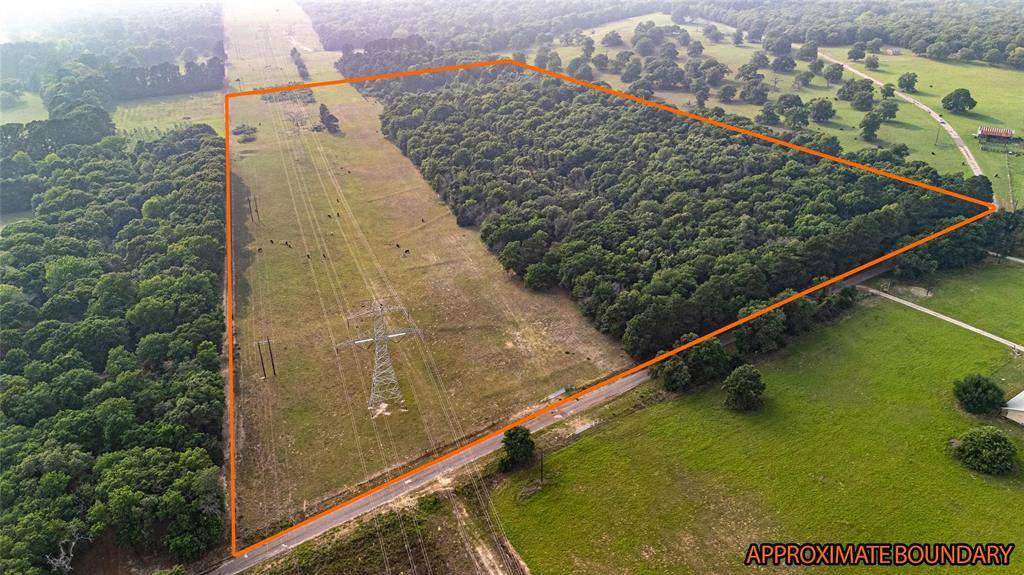 000 County Road 4520, Larue, TX 75770