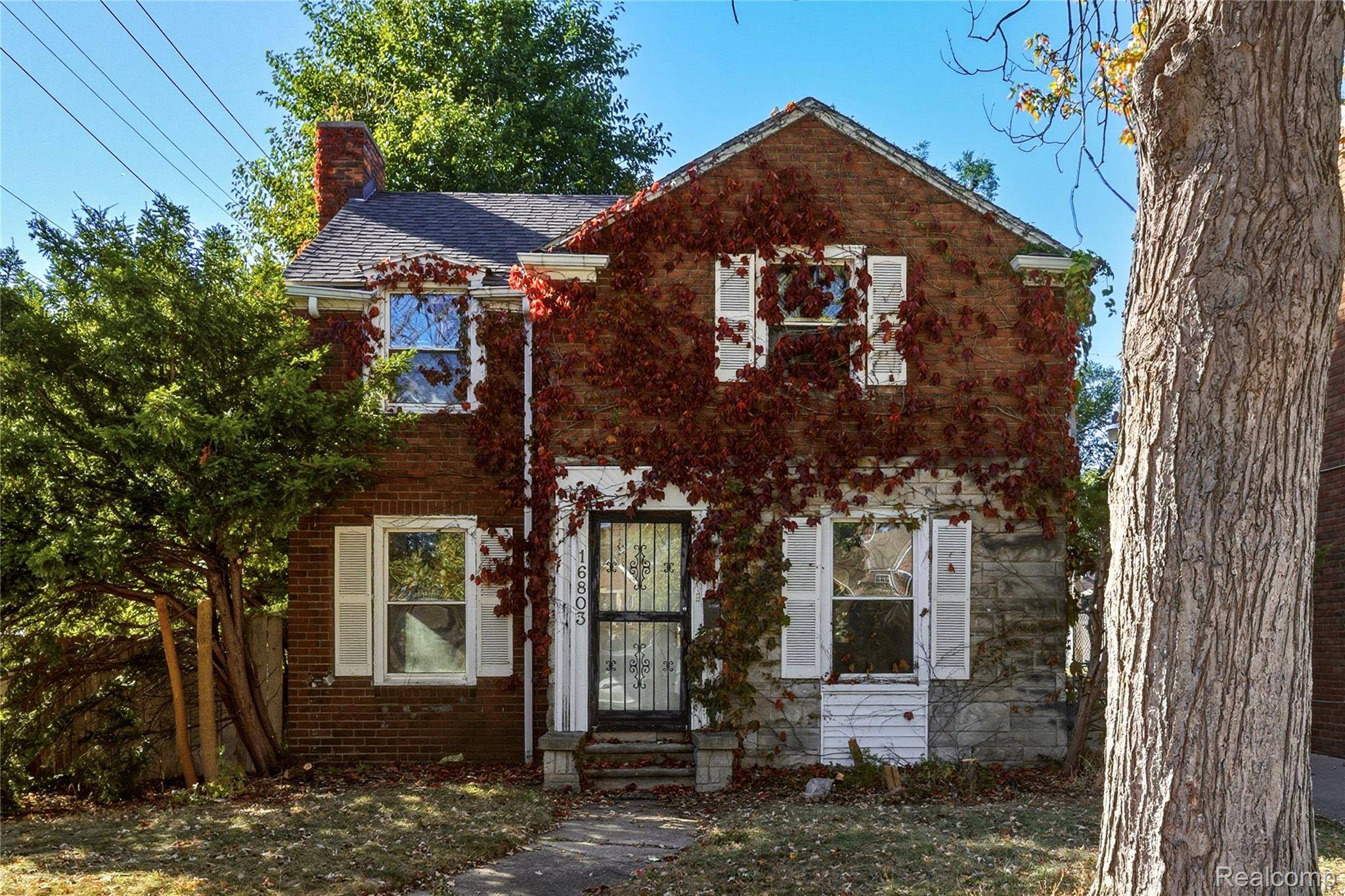 16803 Marlowe ST, Detroit, MI 48235