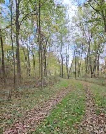 37 Risch RD, Webberville Village, MI 48892