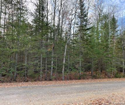 9763 High Banks, Benton Township, MI 49721