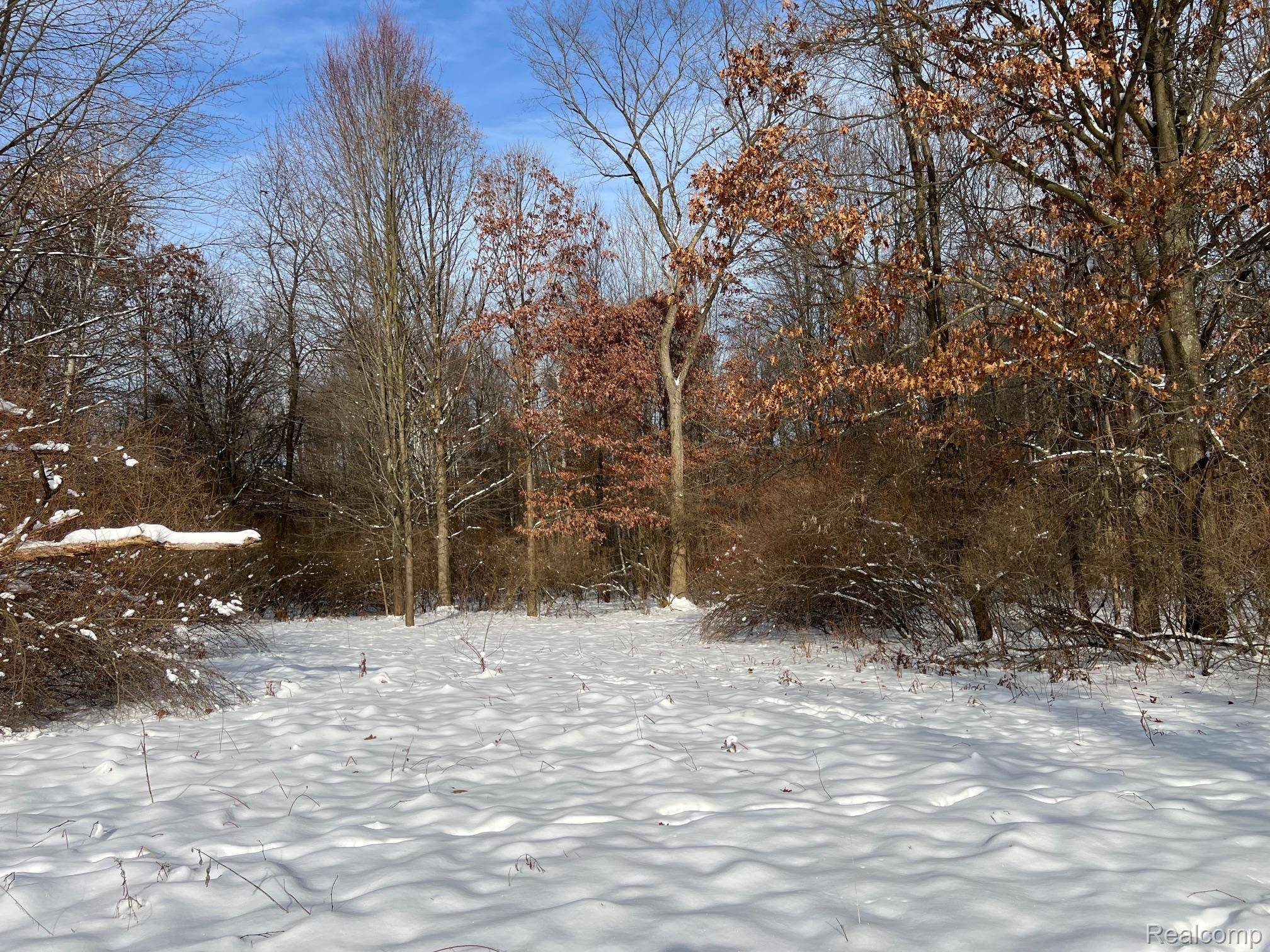 10.10 ACRES Laur, Deerfield Township, MI 48461