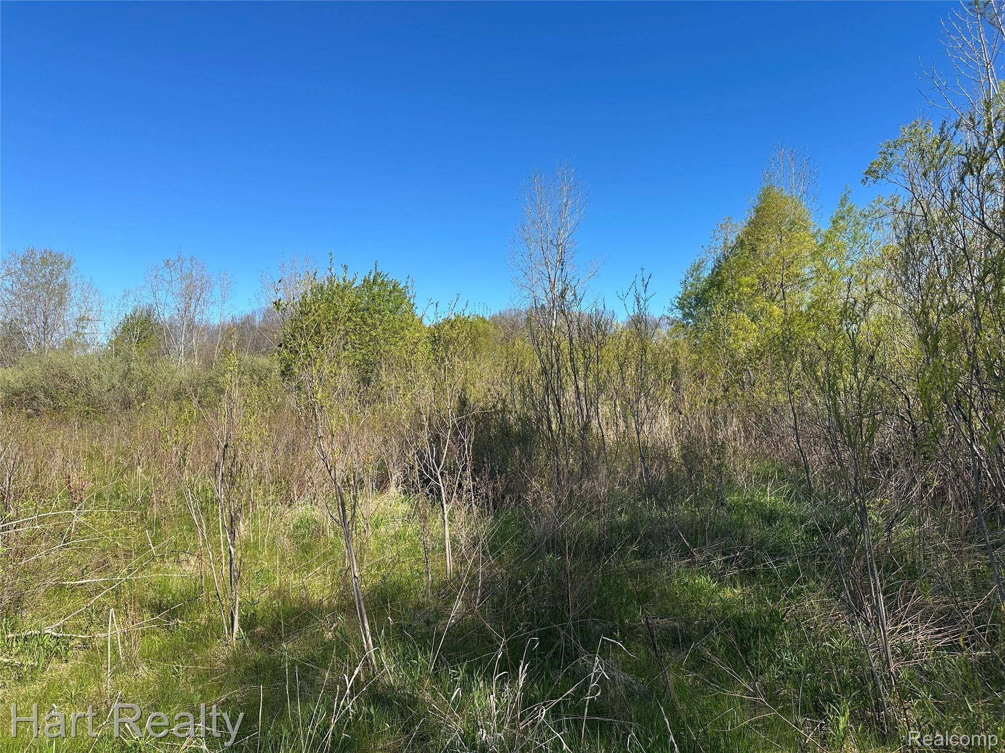 13 Single Tree CIR, Dryden Township, MI 48428