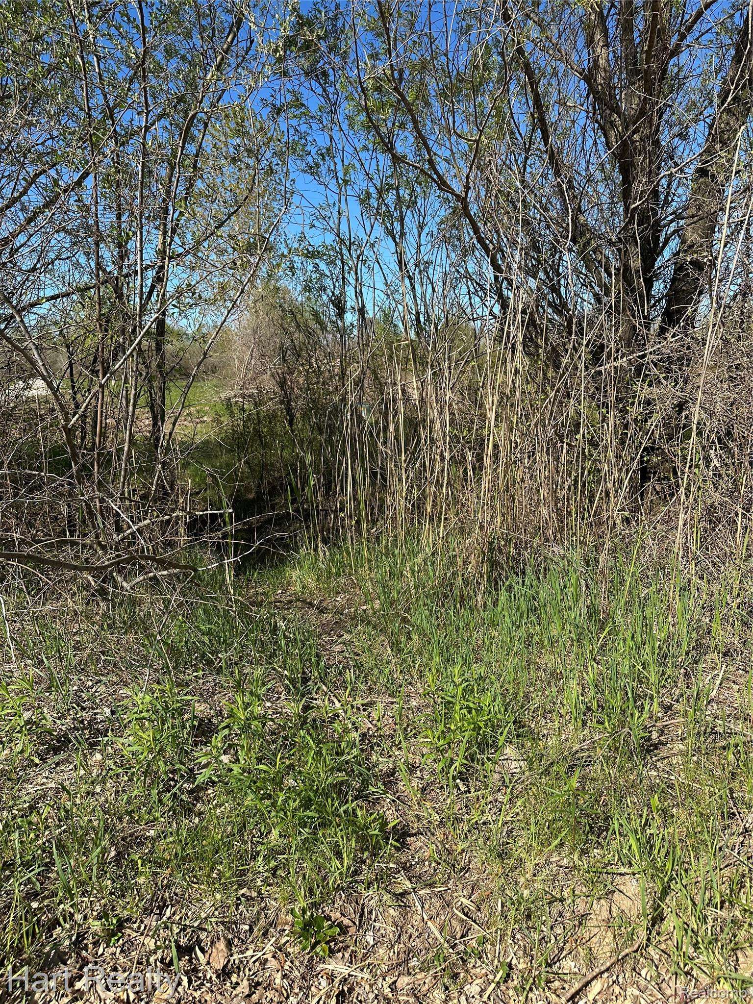 13 Single Tree CIR, Dryden Township, MI 48428