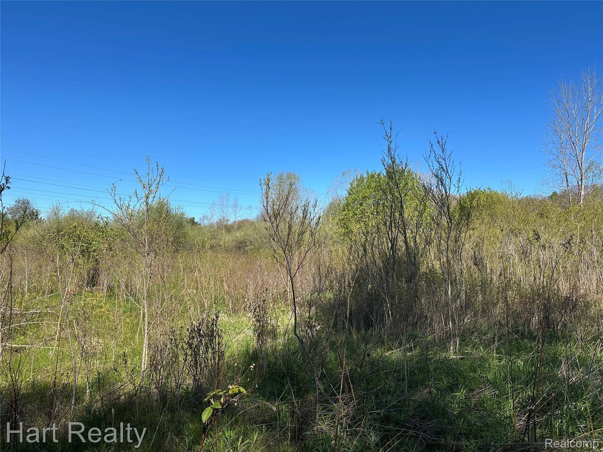 13 Single Tree CIR, Dryden Township, MI 48428