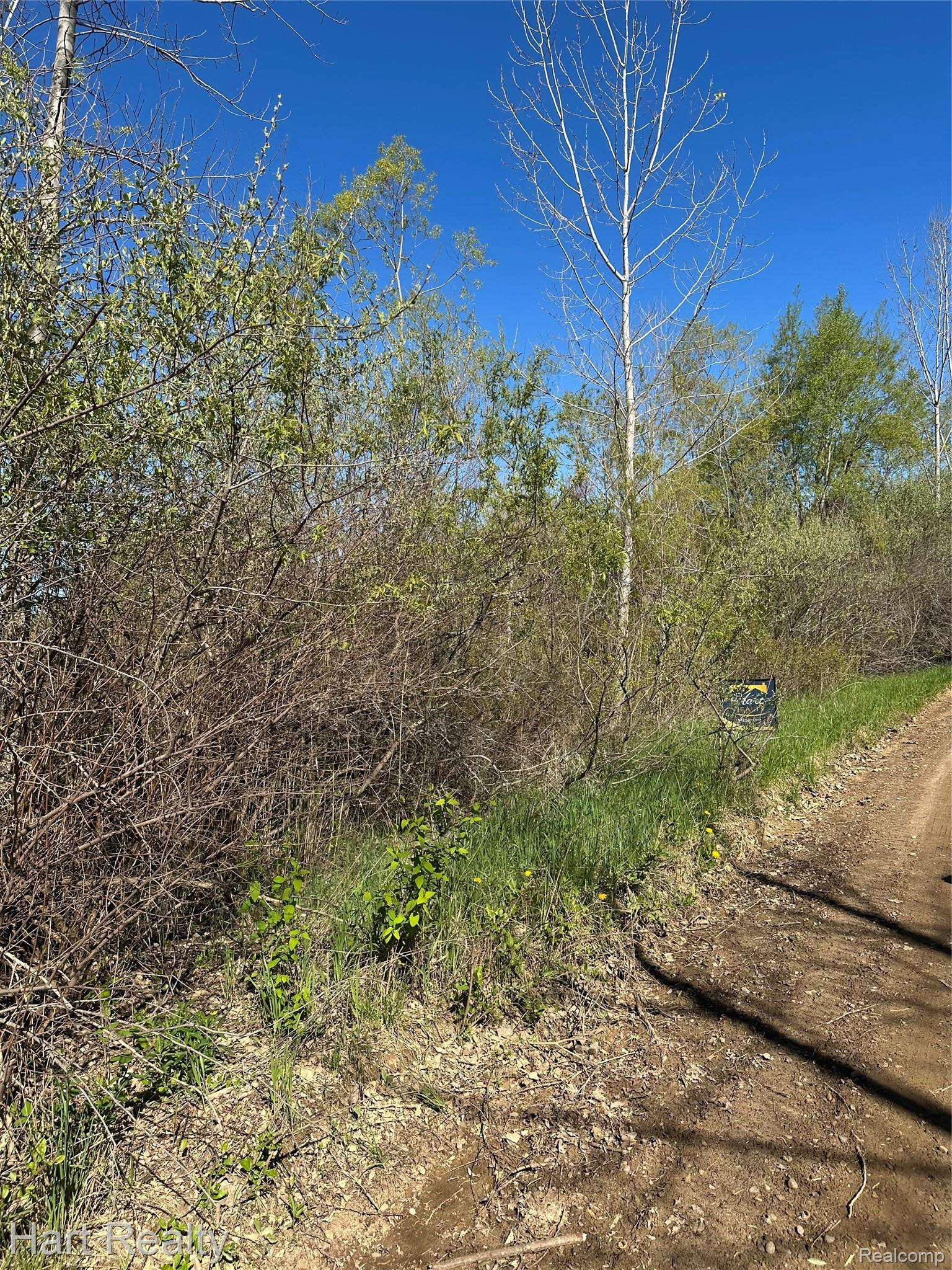 13 Single Tree CIR, Dryden Township, MI 48428