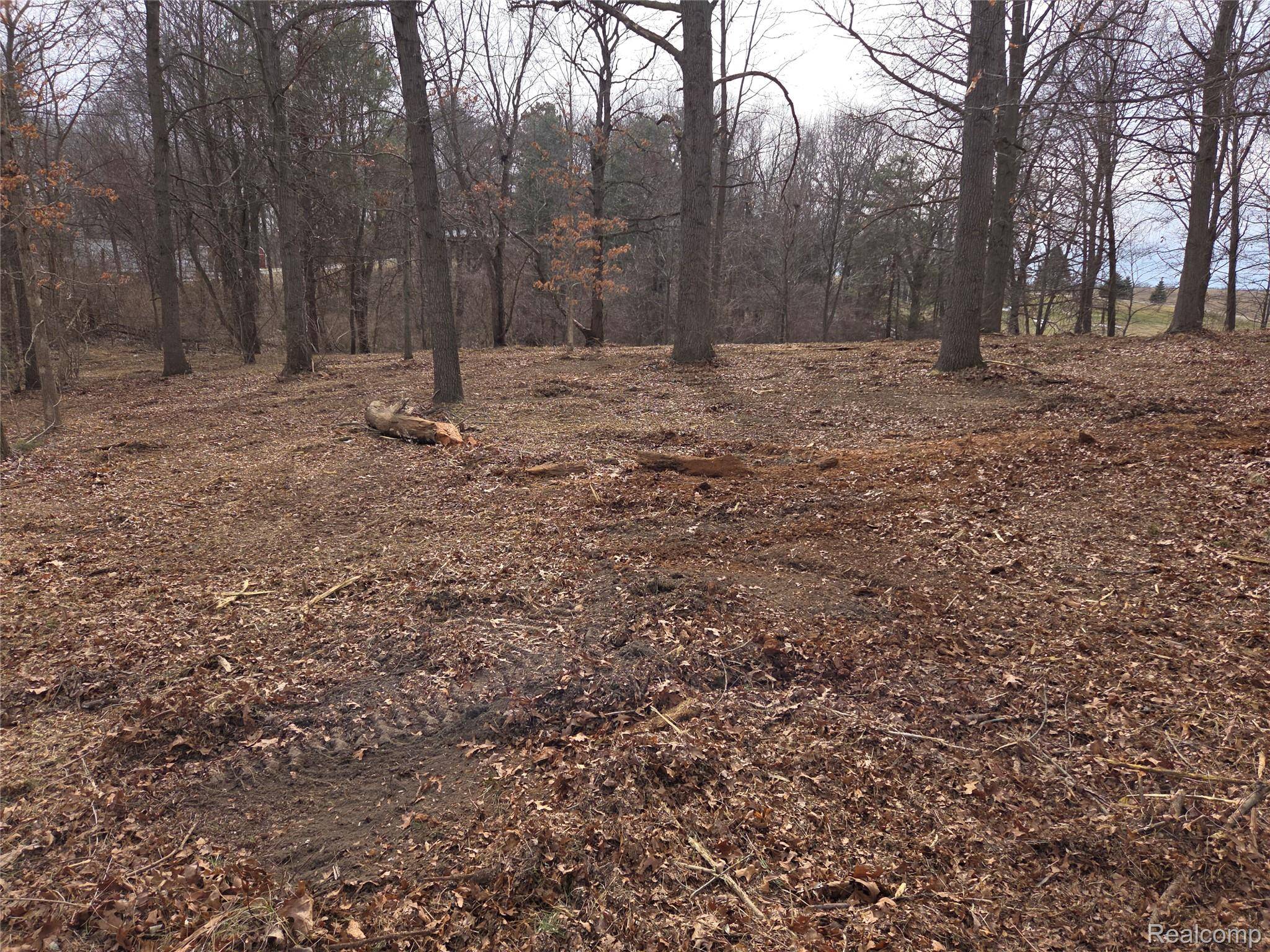 tbd Cohoctah RD, Deerfield Township, MI 48430