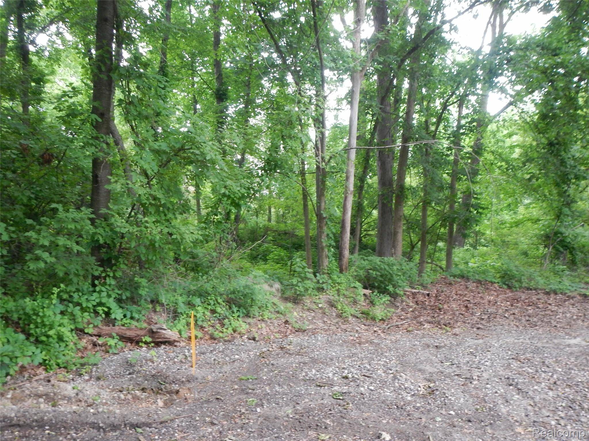 00 Johnson Drive | Lot 2, Lake Orion Village, MI 48362