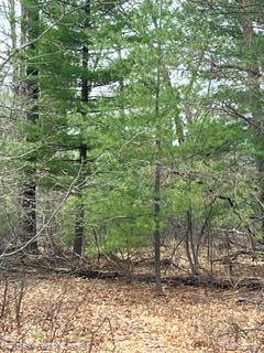 000 Otter TRL, Moffatt Township, MI 48610