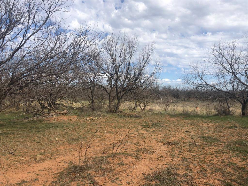 90 Acres TBD Bacacita Farms Road, Abilene, TX 79602