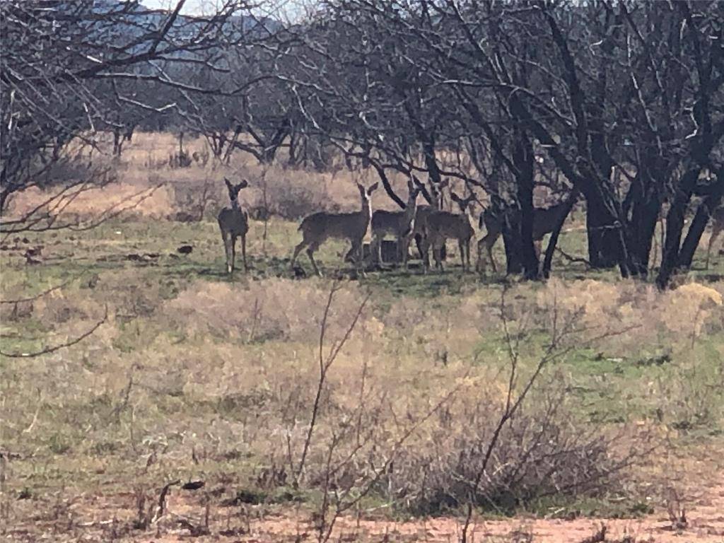 90 Acres TBD Bacacita Farms Road, Abilene, TX 79602
