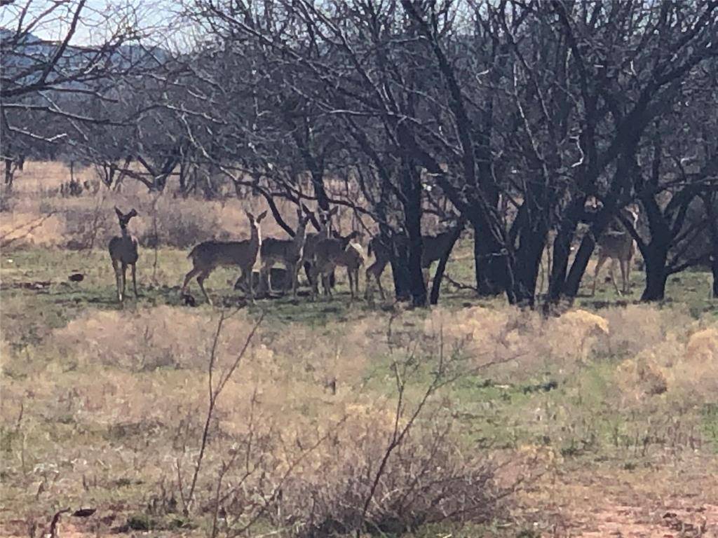 90 Acres TBD Bacacita Farms Road, Abilene, TX 79602