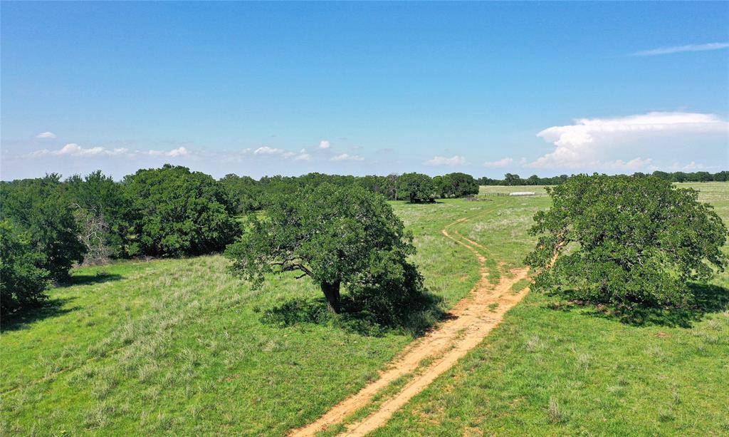 136 Acres FM 2127, Bowie, TX 76230