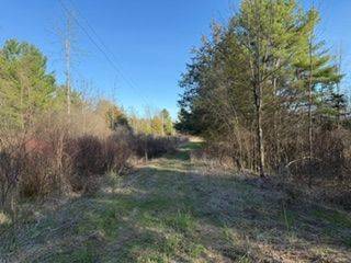 3439 County Rd 3 N/A, Leeds And The Thousand Islands, ON K0E 1N0