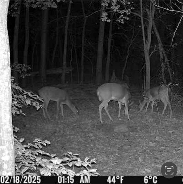 562 County Road 4430, Winnsboro, TX 75494