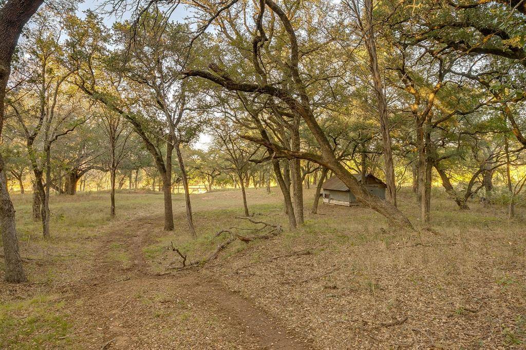 51 Cattle Trail, Palo Pinto, TX 76484