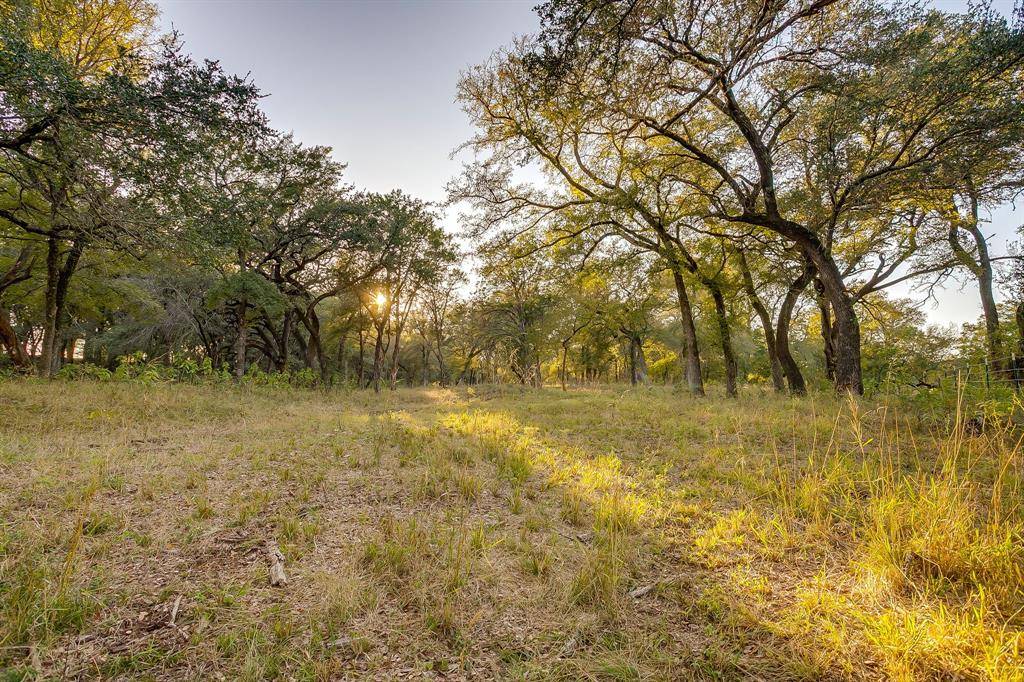 51 Cattle Trail, Palo Pinto, TX 76484