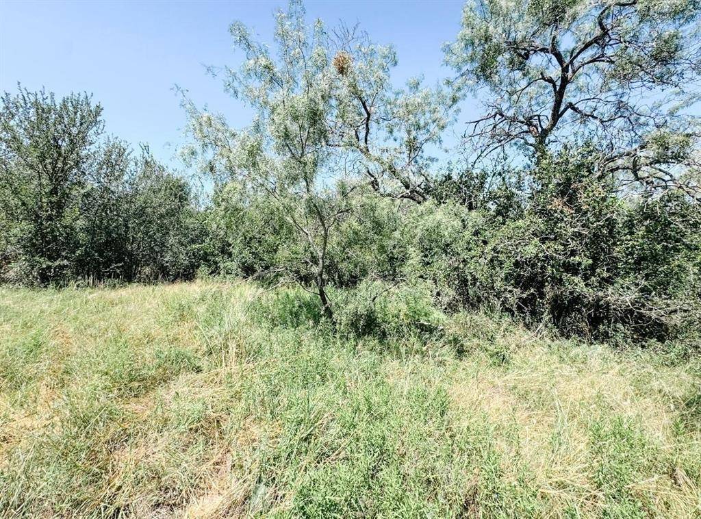 Lot 11 Morris Sheppard Drive, Brownwood, TX 76801