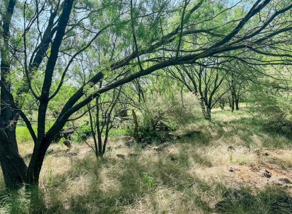 Lot 11 Morris Sheppard Drive, Brownwood, TX 76801
