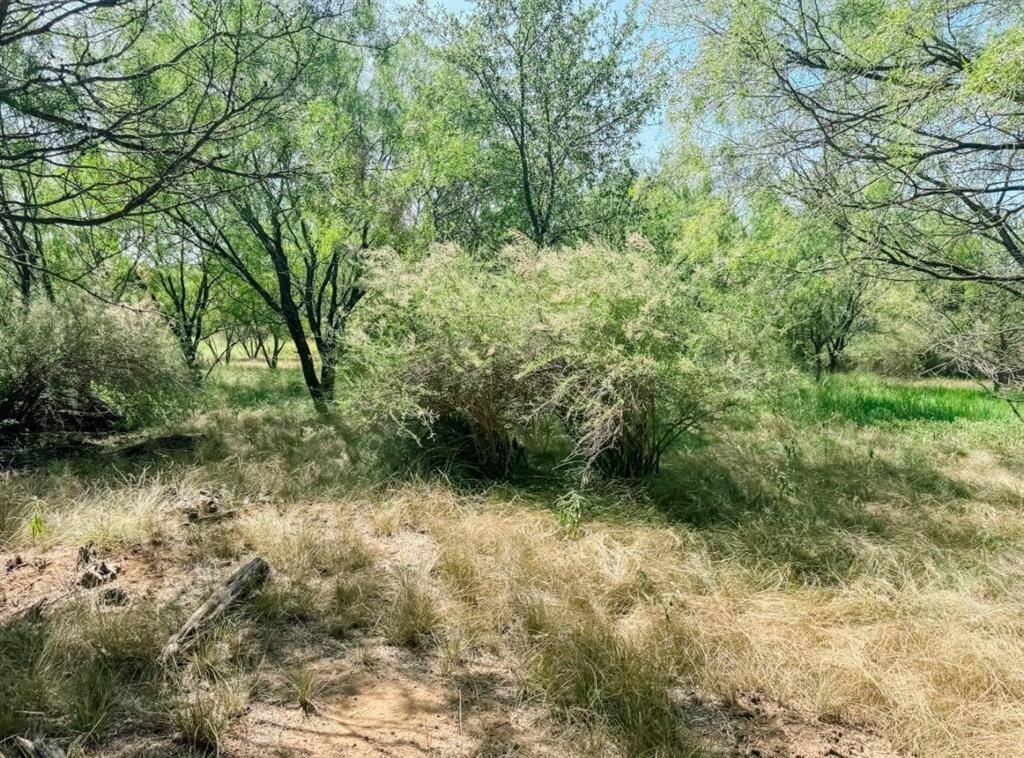 Lot 11 Morris Sheppard Drive, Brownwood, TX 76801