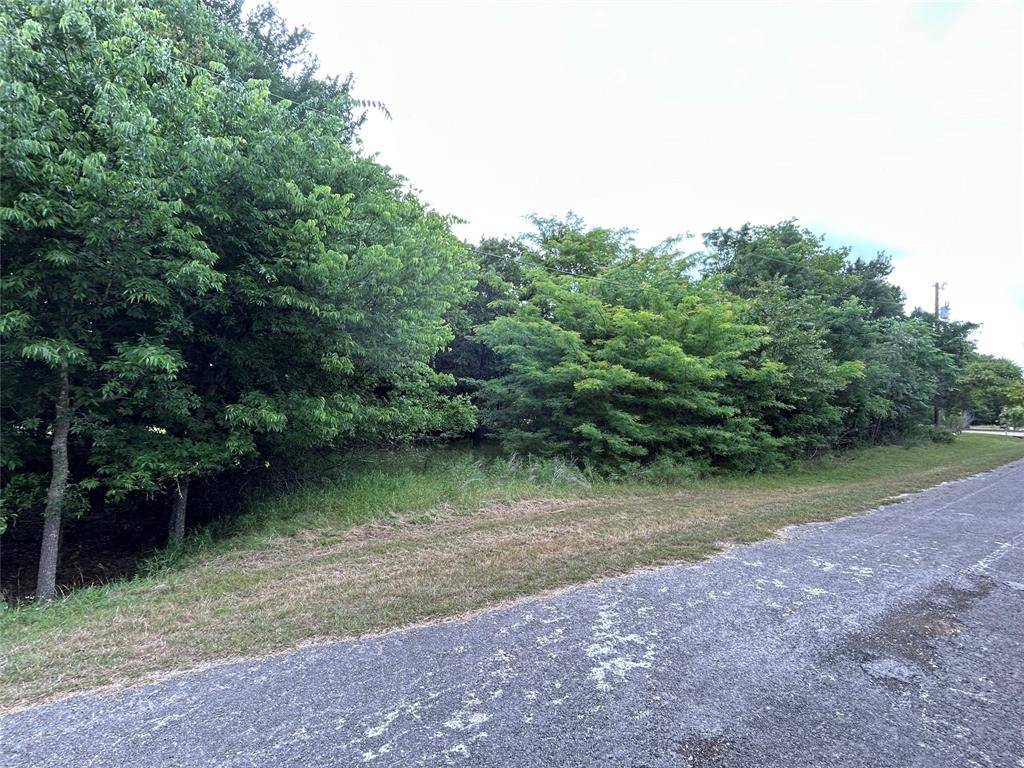 17162 & 21121 Trailwood Drive, Whitney, TX 76692