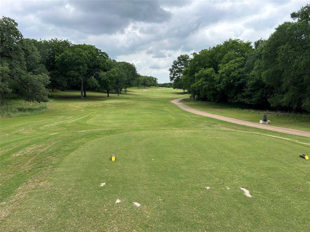 17162 & 21121 Trailwood Drive, Whitney, TX 76692