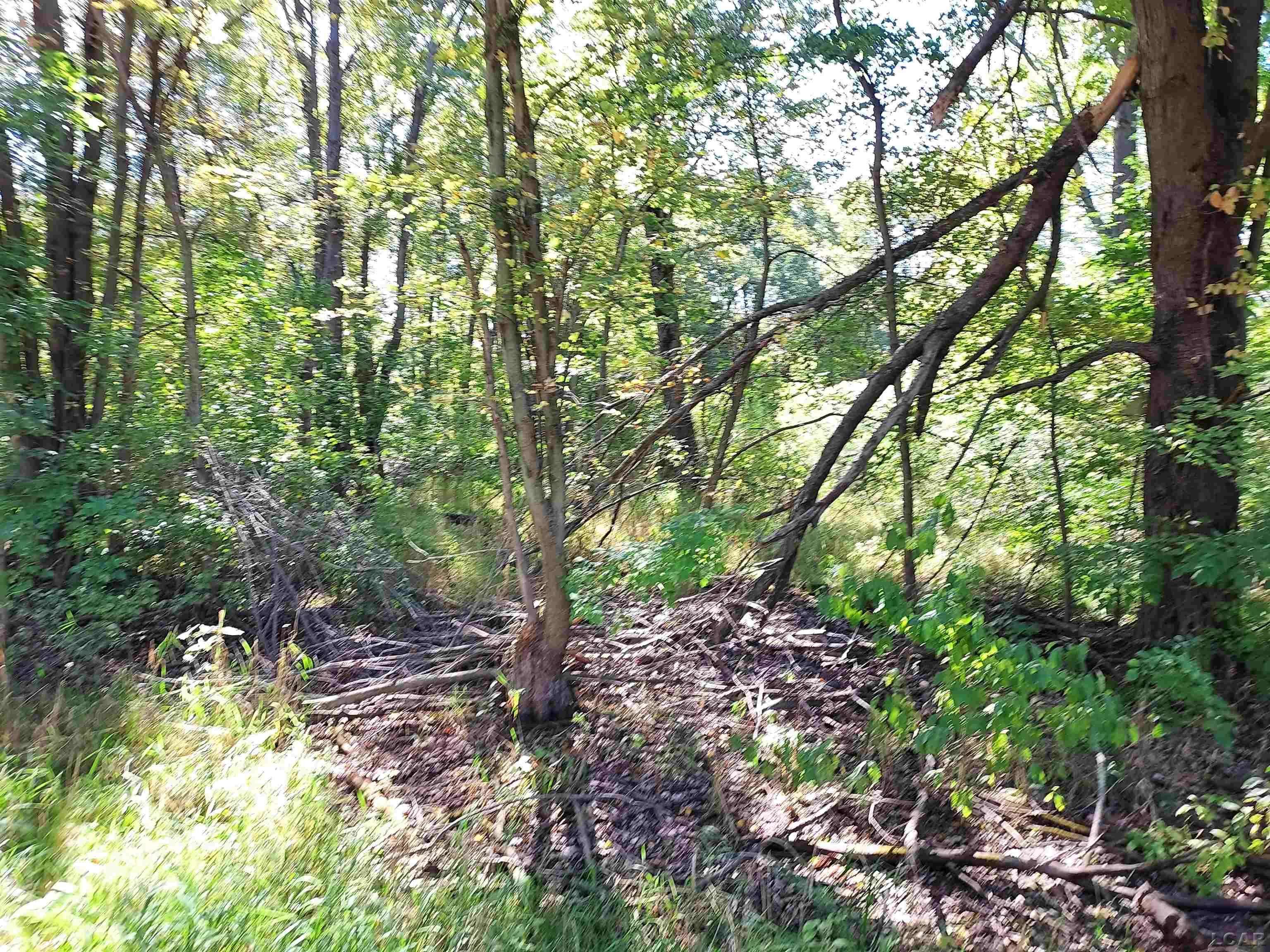 203 Kirkley DR, Columbia Twp, MI 49230