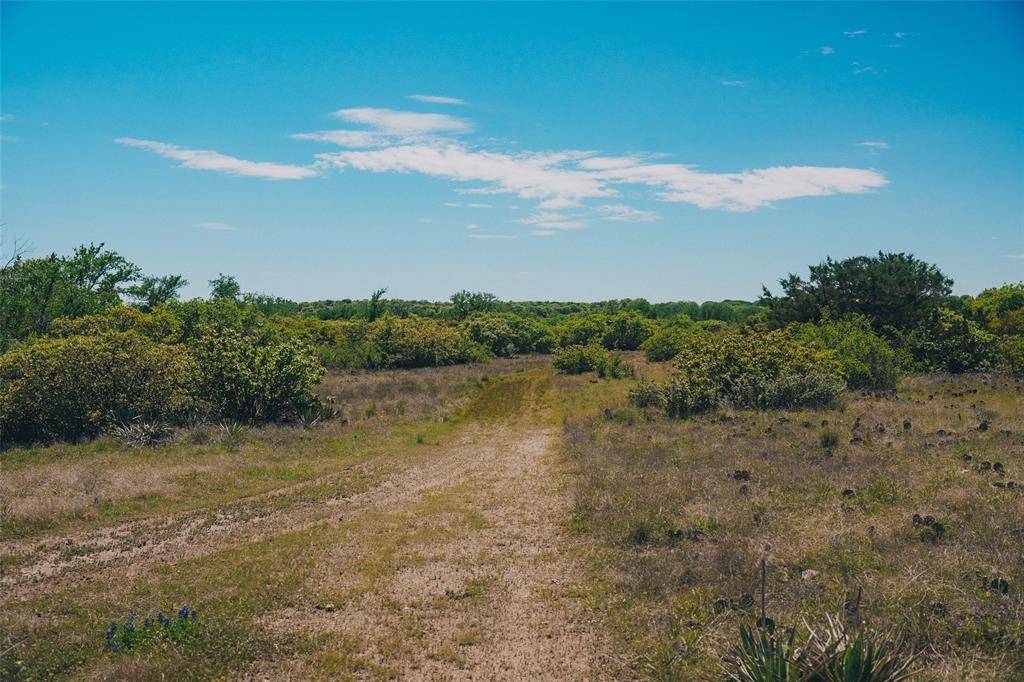 1471 Chapman Court, Annetta, TX 76008