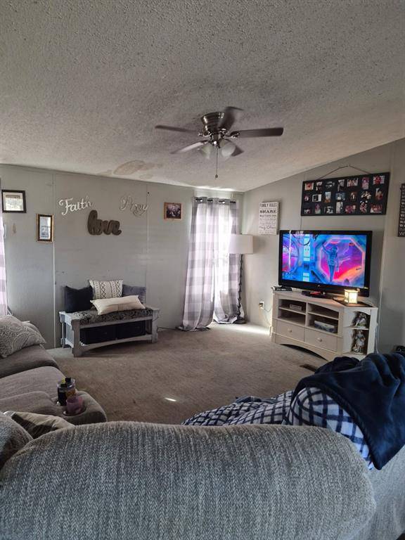 7241 S I-45 Road, Alma, TX 75119