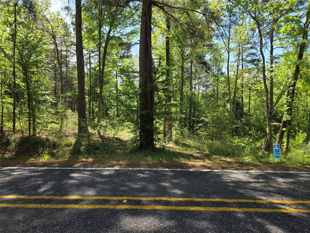 0 Fm 323, Palestine, TX 75801