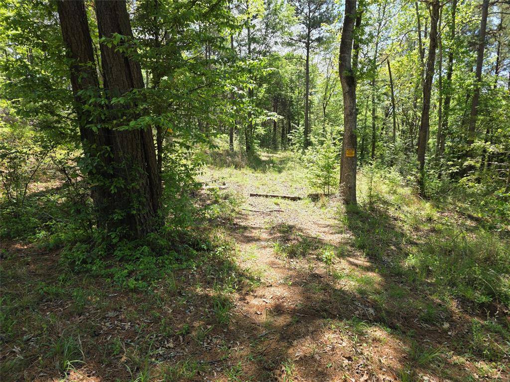 0 Fm 323, Palestine, TX 75801