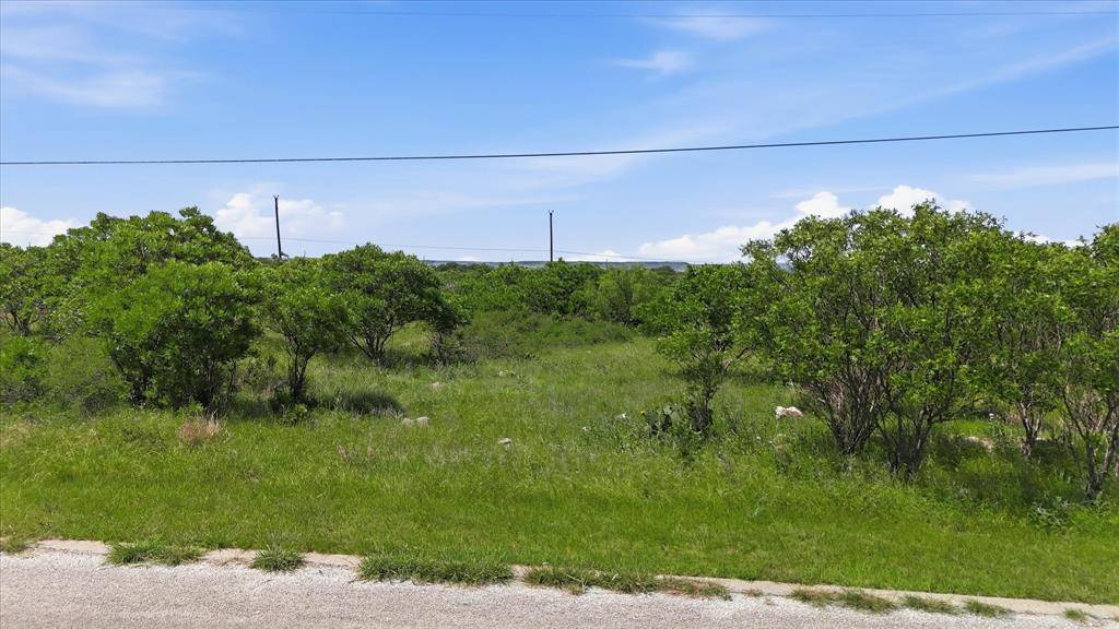 235 Neeleys Slough Drive, Graford, TX 76449