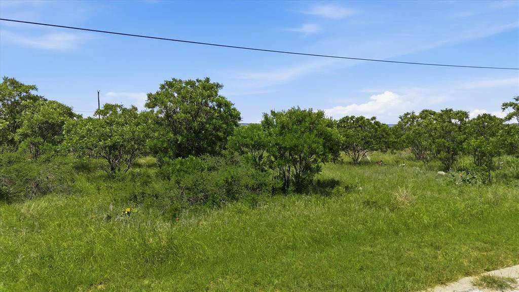 235 Neeleys Slough Drive, Graford, TX 76449