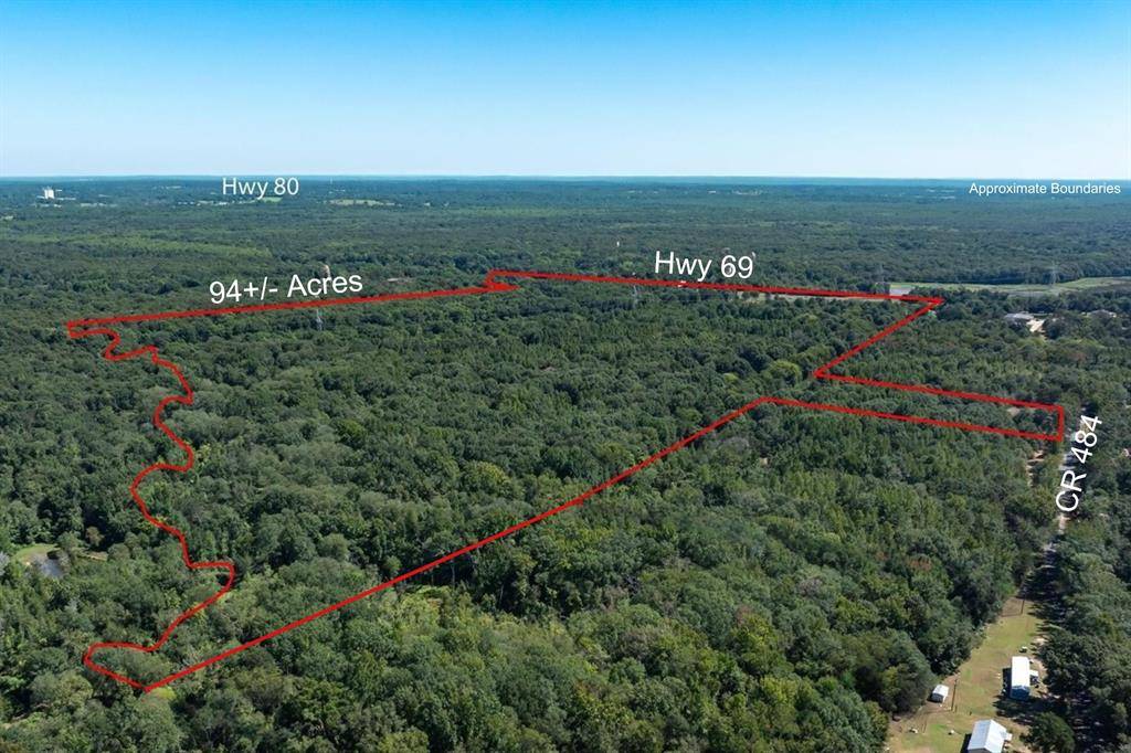 00 Hwy 69 / CR 484, Mineola, TX 75773