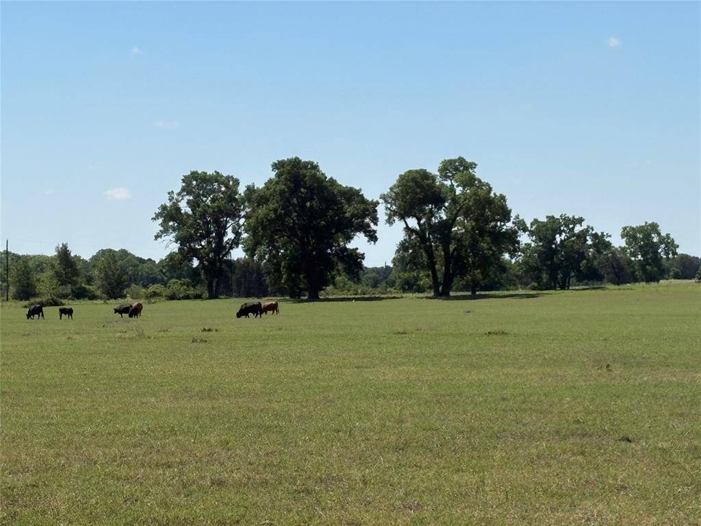 2966 Highway 679, Gorman, TX 76454