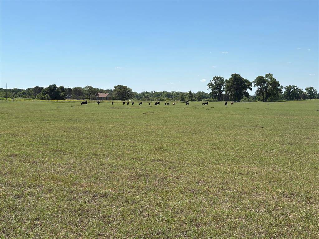 2966 Highway 679, Gorman, TX 76454