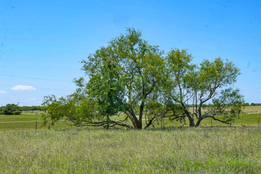 20.92 Acres Hwy 281, Jacksboro, TX 76458