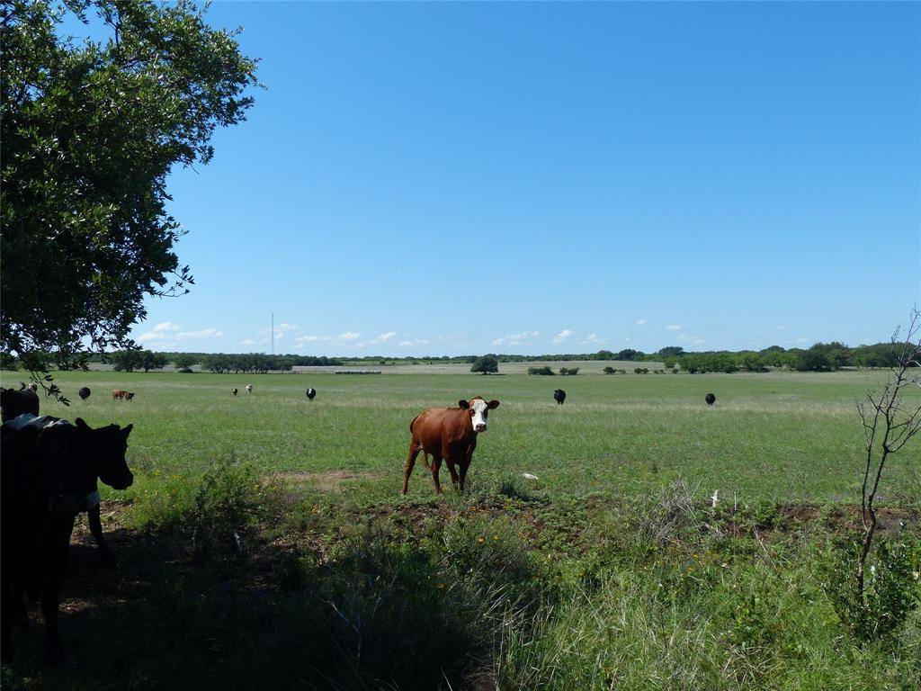 1825 FM 1028, Rochelle, TX 76872