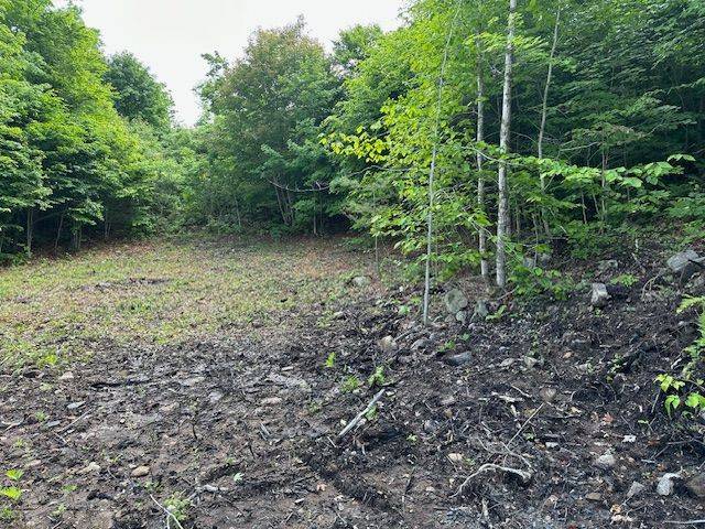 4 McNaughts RD, Seguin, ON P2A 2W9