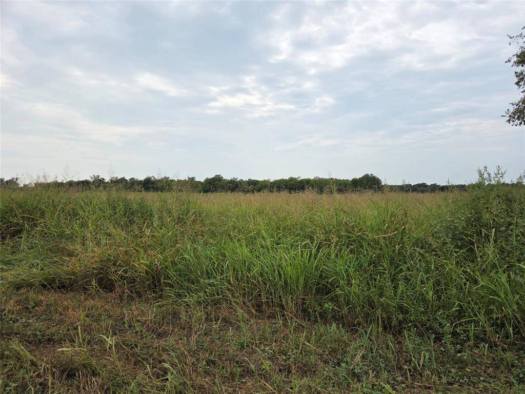 TBD County Road 3615, Honey Grove, TX 75446