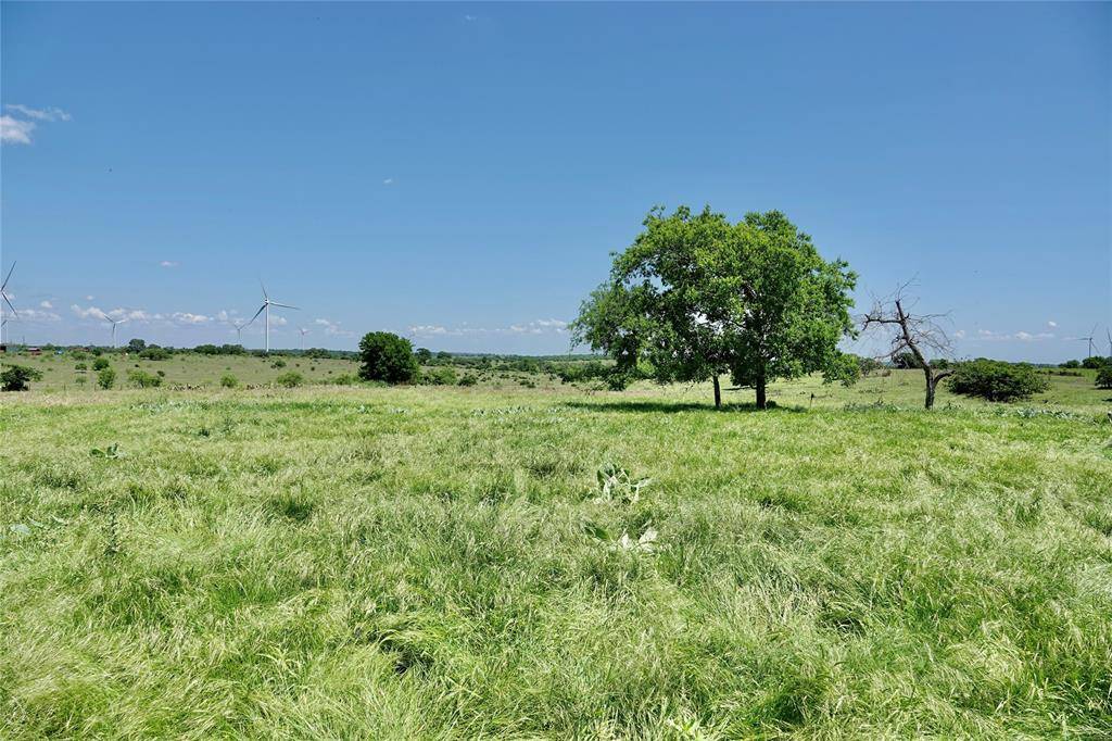 801 N SH 16, Priddy, TX 76870