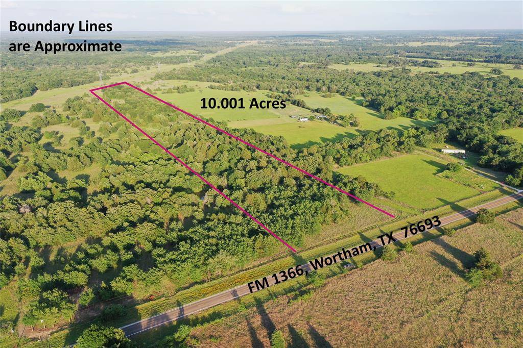 Tract 13 FM 1366, Wortham, TX 76693