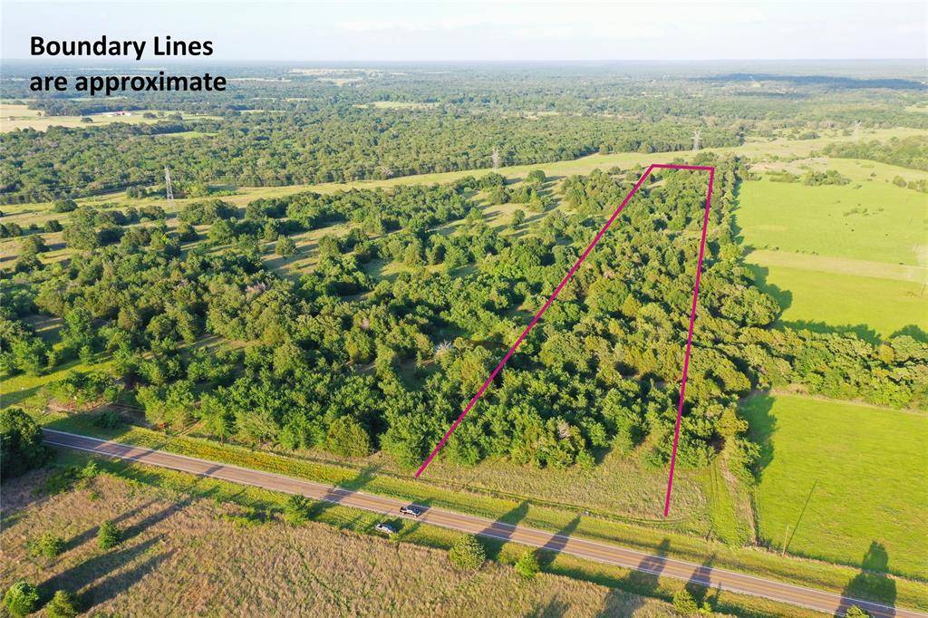 Tract 13 FM 1366, Wortham, TX 76693